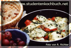 Kochbuchbilder/italienischpfan2-ok.jpg