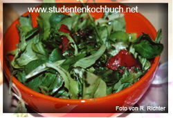 Kochbuchbilder/salatmix-ok.jpg
